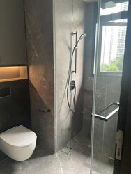 Irwell Hill Residences (D9), Apartment #573592321